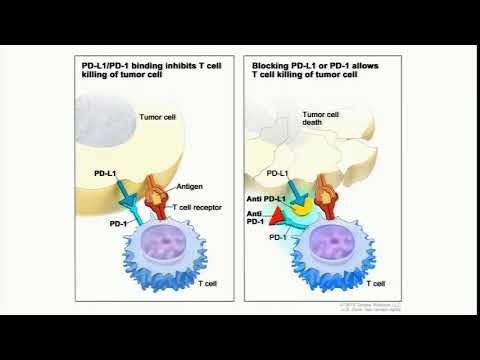 Video: El único Efecto Secundario Del Tratamiento Del Cáncer Que Los Médicos No Pueden Controlar - Toxicidad Financiera Y Tratamiento Del Cáncer