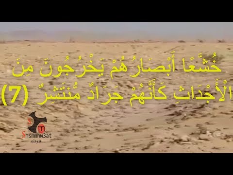 خروج الجراد من الارض و سورة القمر أدريس أبكر 