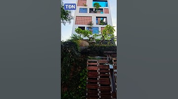 Cây sung trên nóc cổng #tamdaonui