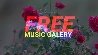 Yucatan Peninsula | Free Music Sound [No Copyright Music] | FMG Library
