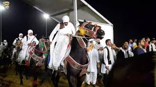 الخيل الليبي | مهرجان الفروسية الشعبية الليبية