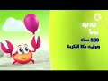 اعلان تيلا تولا براعم على 2025 