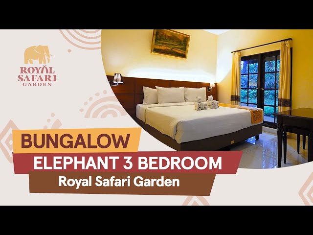 Bungalow Elephant Royal Safari Garden