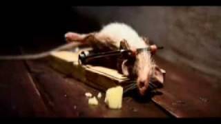Best Ad of 2010 (HQ)