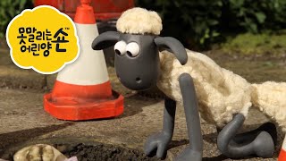 숀 더쉽 🐑 🚜🐔 농장은 언제나 재미있어요 🐑 어린이 친화적 시리즈 - 숀 더쇼위츠