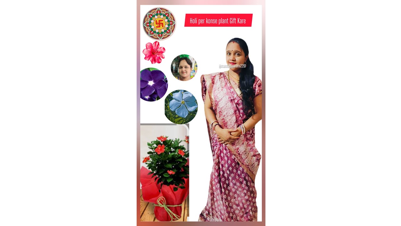 होली पर गिफ्ट किए जाने वाले पौधे