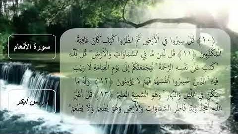 006-سورة الأنعام كامله بصوت الشيخ أدريس أبكر