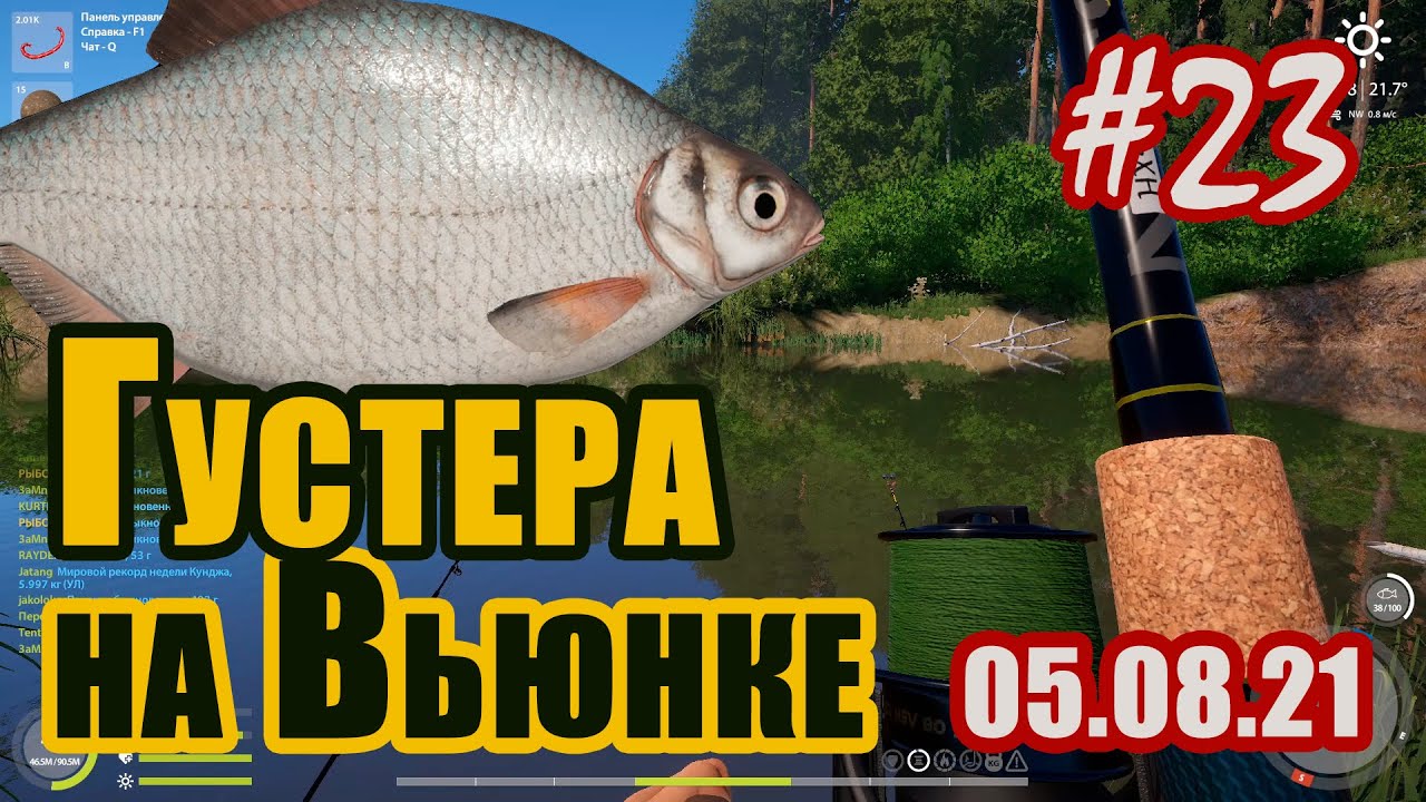 Рр3 густера волга