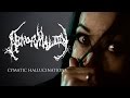 Abnormality - Cymatic Hallucinations (OFFICIAL VIDEO)