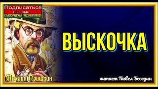 Выскочка   Михаил Пришвин читает Павел Беседин