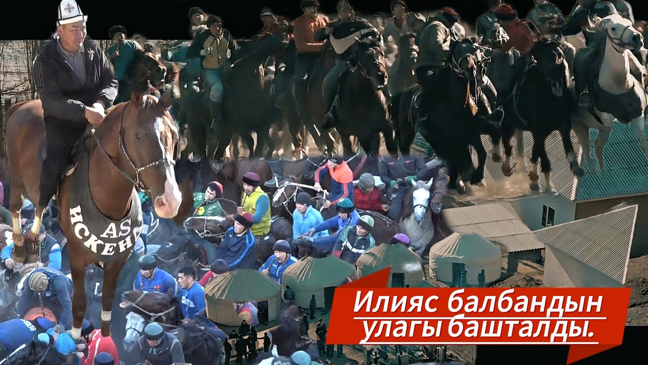 Ала Букадагы чоң улак башталды ( 1- күн )Илияс балбандын улагы.