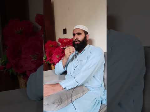  5 مور خور پلار