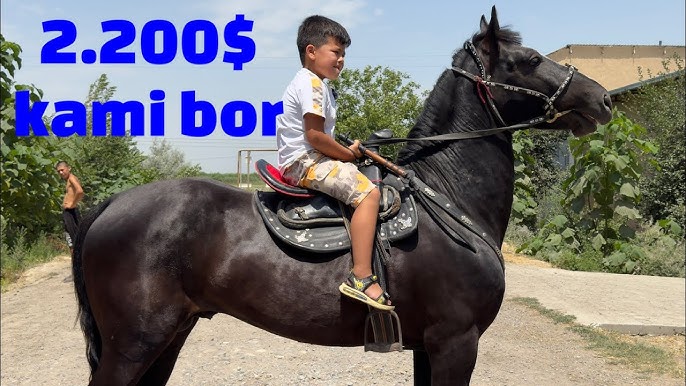 külot holda raqs video Orenburgda jinsiy aloqa izlayotgan talabalar