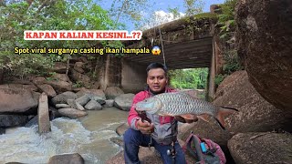 Spot Viral Casting Ikan Hampala Di Bawah Jembatan Sungai Senamang.