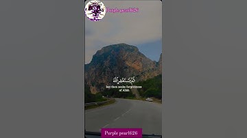 #القرءان_الكريم #راحة_نفسية #إستخارة #ايات_قرانية_قصيرة #صوت_مريح #القارئ