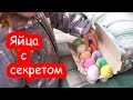 VLOG Яйца с секретом. Пикник во дворе