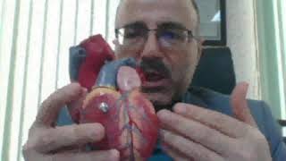 تدریس مراقبت های ویژه پرستاری CCU  | جلسه اول | قسمت اول
