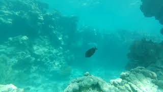 20201231 153232 Dive