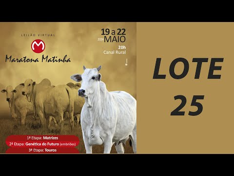 LOTE 25