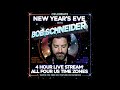 New Year's Eve with Bob Schneider