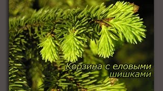 Константин Георгиевич Паустовский. Корзина с еловыми шишками (аудиорассказ). Константин Георгиевич Паустовский. Корзина с еловыми шишками (аудиорассказ).