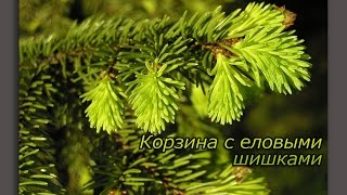 Константин Георгиевич Паустовский. Корзина с еловыми шишками (аудиорассказ).