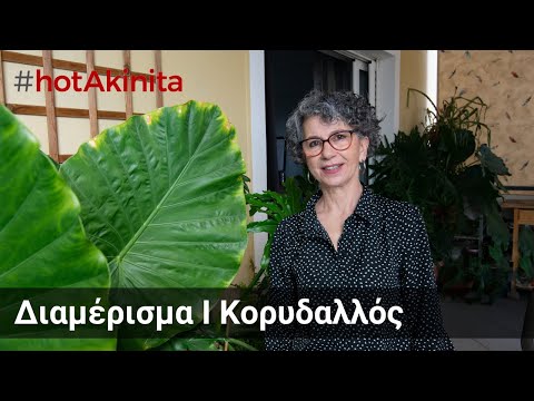 Διαμέρισμα προς Πώληση