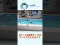 3m×7mの標準サイズのプールで大人も泳げる!?体験できる展示場で実験してみた
