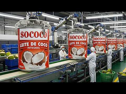 Dentro de la fábrica de LECHE DE COCO más grande de Sudamérica 🥥 Proceso Completo