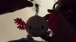 ASMR Saturday Ramble and playing with my key chain stuffed axolotl. Up close in your face attention.