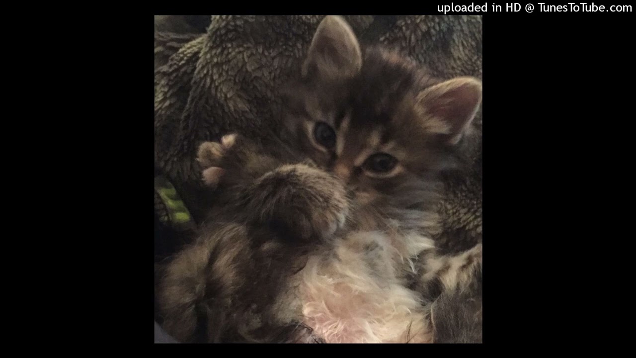 CLAMS CASINO + CLOUD RAP TYPE BEAT 