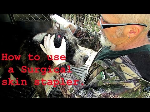 Using a surgical skin stapler on a dog. Q & A