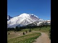Skyline trail in Mt Rainier National Park July 2021