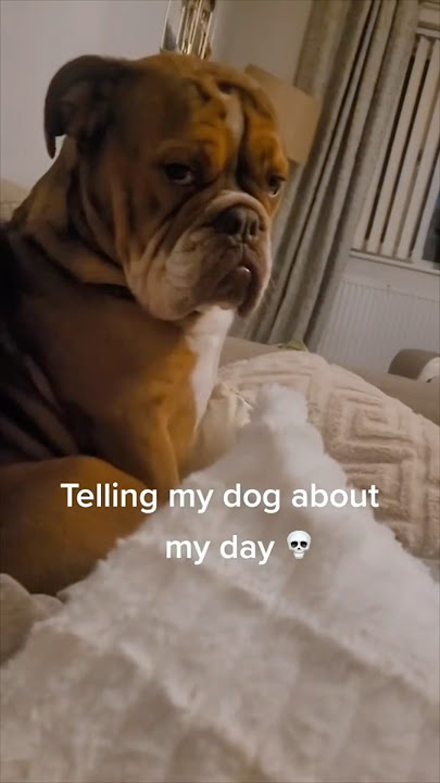 This dog is tired of hearing her gossip 😂