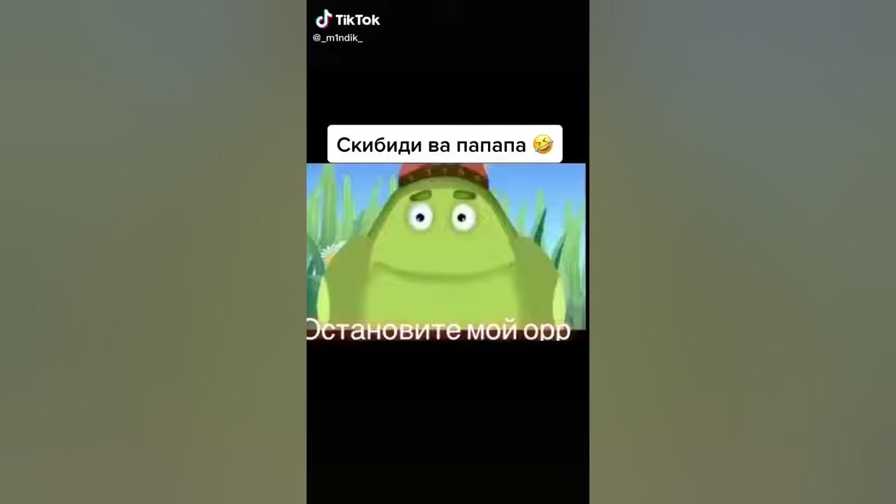 Пап папап. Пап папап