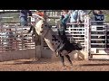 Henry's Slide-N-Ride Bull Riding