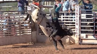 Henry&#39;s Slide-N-Ride Bull Riding