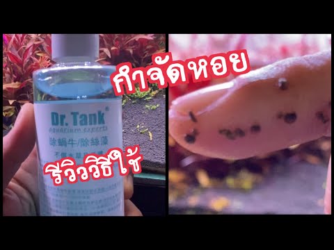 รีวิวและวิธีใช้ Dr.Tank Snail Remover and Hair Algae Remover