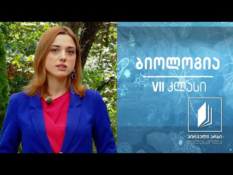 ბიოლოგია VII კლასი - მიკროორგანიზმების როლი  ბუნებაში. მავნე მიკროორგანიზმების აღკვეთა #ტელესკოლა