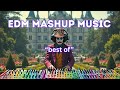 EDM-Mashup best of