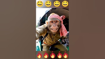 Ai Monkey Vlog #aivideo #aimonkeyvideo #Monkeyvlog #funny #shorts #youtube #ai #veo3 #vlog