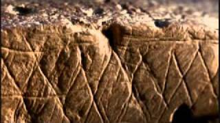 11 Becoming Human   Last Human Standing NOVA Part 3 4 HD