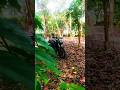 Xtreme 125r🖤| dream bike ✨ #shorts #xtreme125r #bike #love #trending #song #newvideo #viralvideo