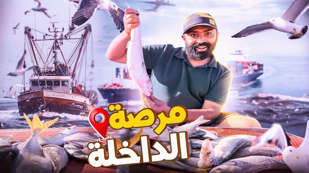 جولة في الصحراء المغربية🇲🇦 في مدينة الداخلة شواء السمك في المرسة اجواء مع صديقي Lhjaouj يا سلام...