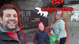 The Polar Bears are BACK at The Calgary Zoo 2023 | Wild Canada