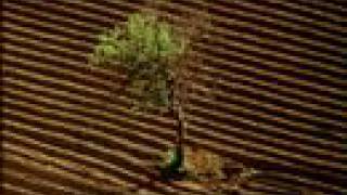 La Terre vue du ciel (extrait 1)