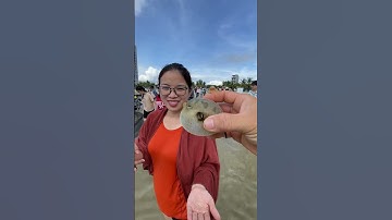 Biển Sơn Trà Đà Nẵng #danangbuongtrung #fishing