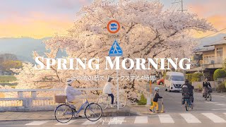 [ playlist ] 美しい春を迎えるプレイリスト |  spring morning | 洋楽 Playlist