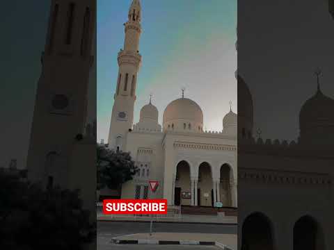 The Jumeirah Mosque |Dubai | #shorts #ytshorts #dubai #jumeirah