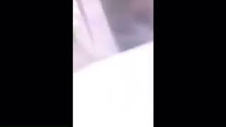 Video Viral oknum Pengawai Kab.Bintan mesum dalam mobil!!